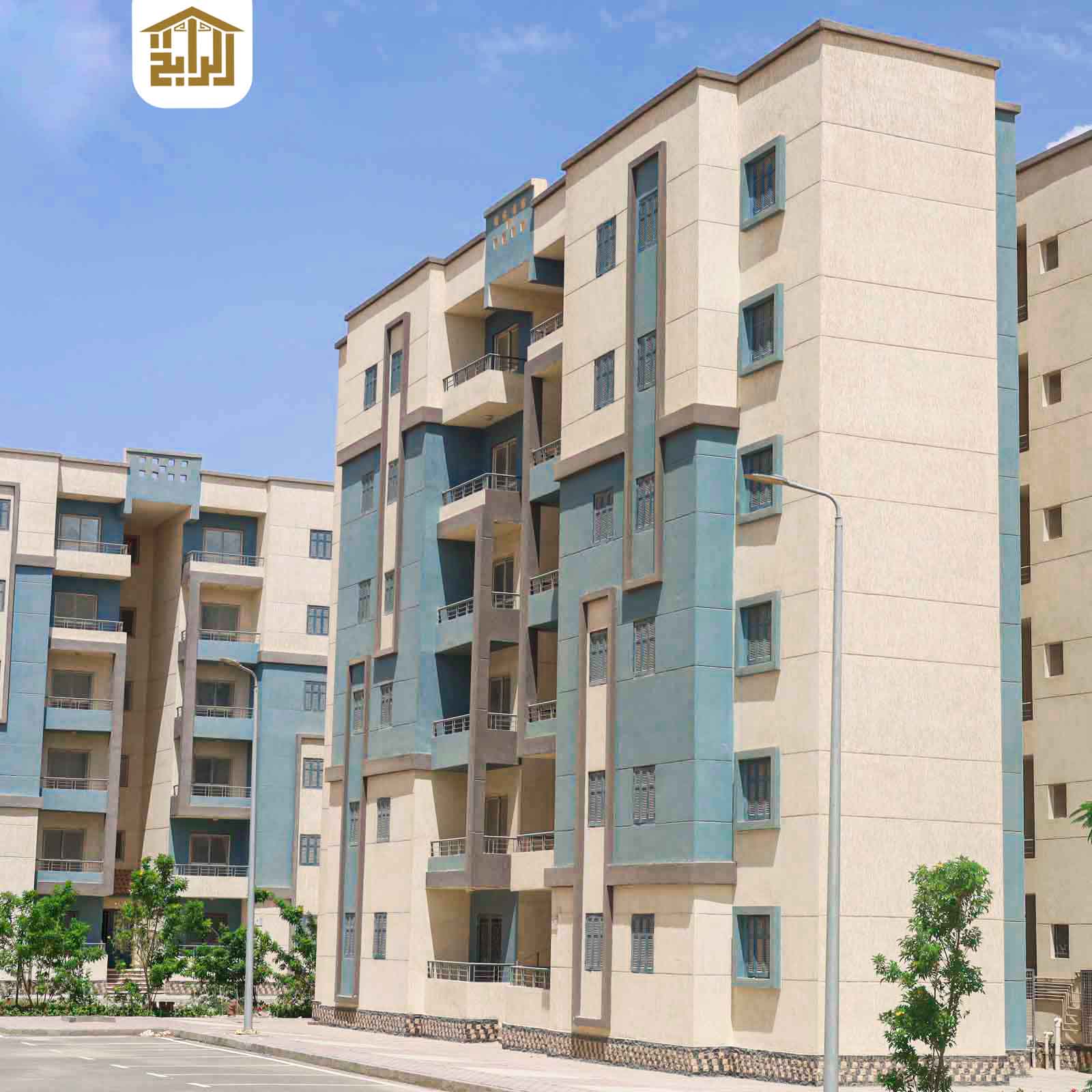 زهور مدينة 15 مايو